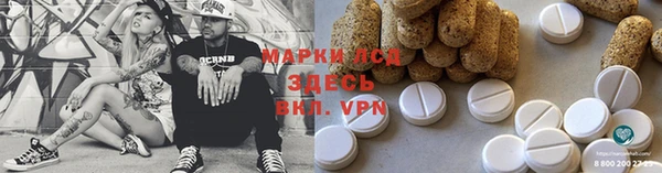 тгк Сатка