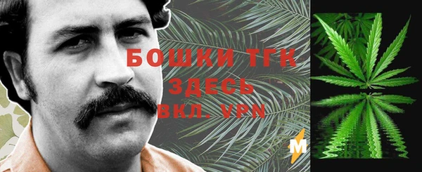 трава Саяногорск