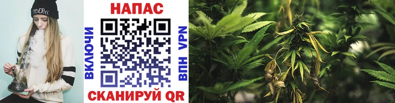 Каннабис SATIVA & INDICA  цена   Аркадак 